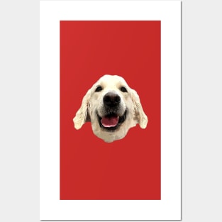 Golden Retriever- Stunning Puppy Dog Posters and Art
